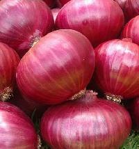organic red onion