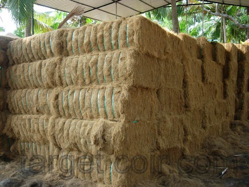 Coir Golden Brown Fiber