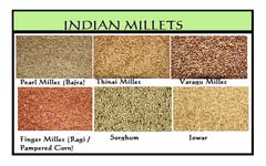 Indian Millet