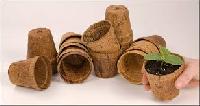 Coir Pot