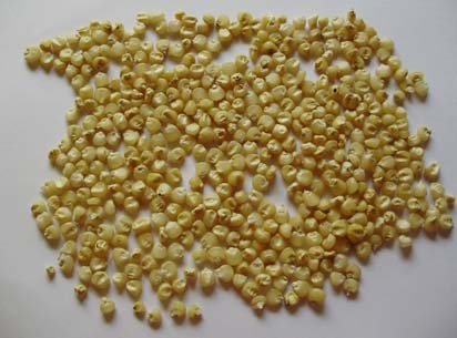 small round white maize