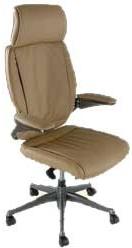 Director Comfortable Revolving Chair