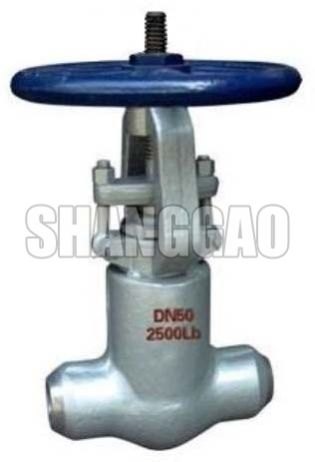 BW Gate Valve