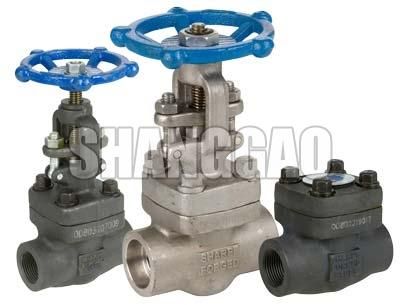Forged Steel Gate Valve