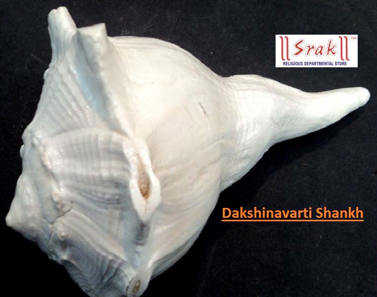 dakshinavarti shankh