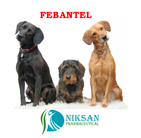 Febantel Ep