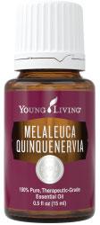Melaleuca Quinquenervia Essential Oil