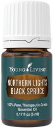 Northern Lights Black Spruce - 5ml
