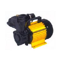 Regenerative Monoblock Pumps