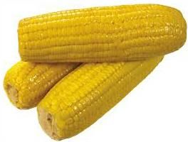 yellow corn