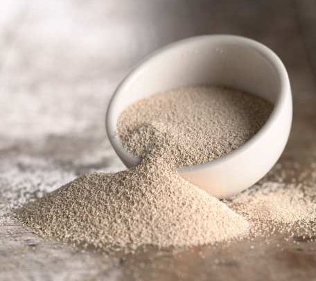Dried Yeast