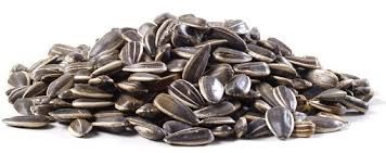 sunflower seeds
