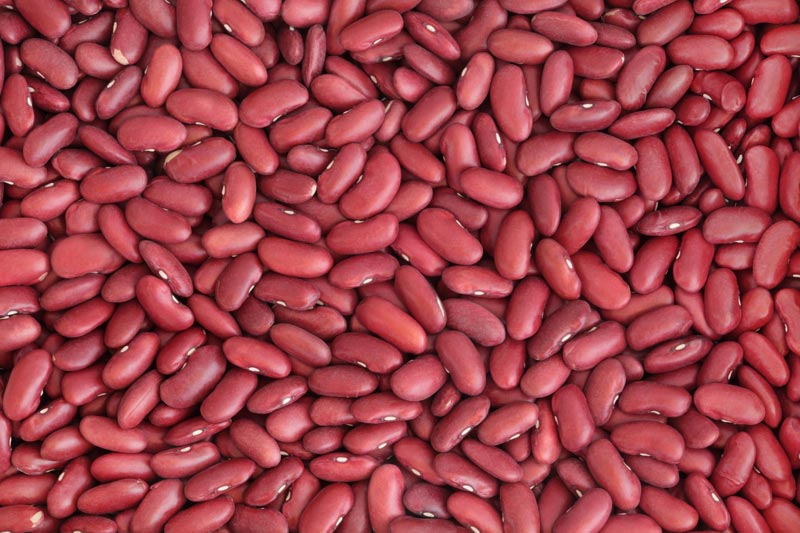 red kidney beans