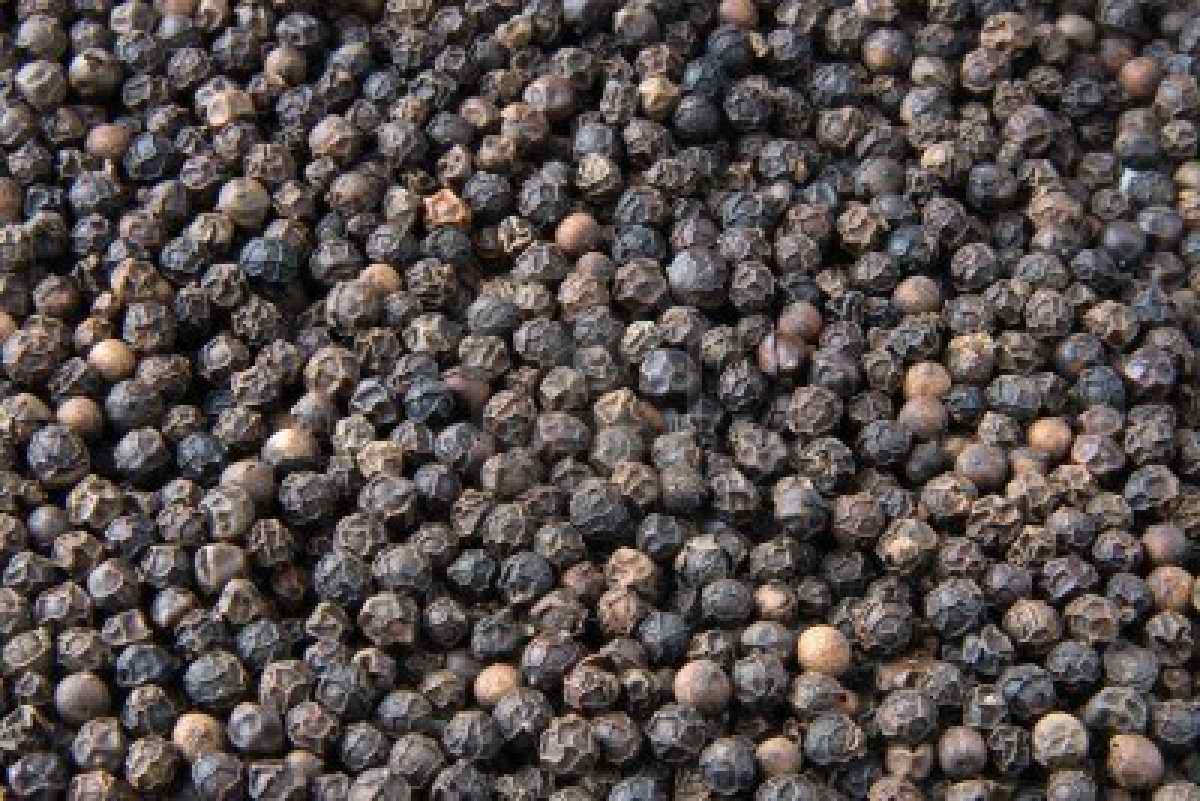 Quality Black Pepper Manufacturer in Malate Manila Philippines by Westerncorp Agroexport ID