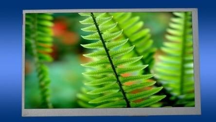 TFT LCD Display 7.0