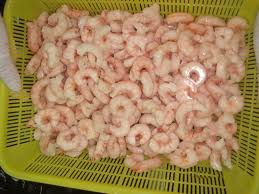 Frozen Red Shrimp(size:30/50,50/70)