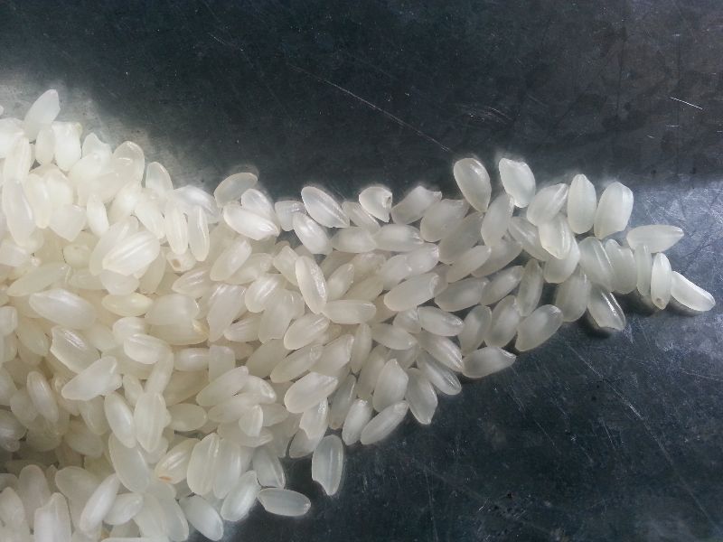 Camolino Rice