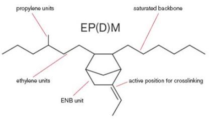 Ethylene Propylene Diene Monomer (EPDM)