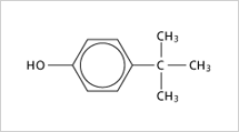 Para-tertiary-Butyl-Phenol