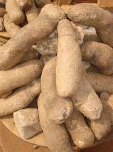 Fresh Yam Tubers