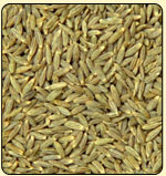 Black Cumin Seeds