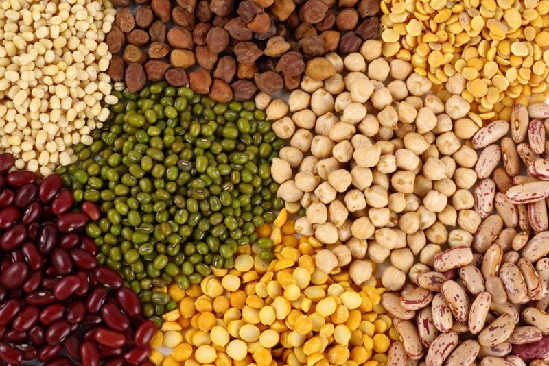 Indian Pulses