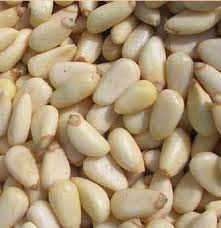 Pine Nut Kernels with High Quality