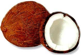 Coconut - 01