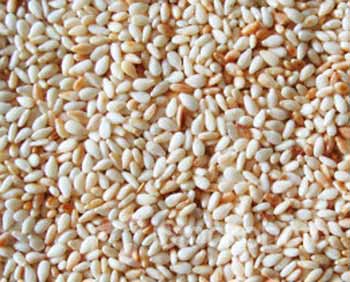 Sesame Oil Seeds