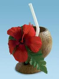 coconut cup