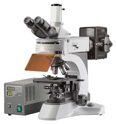 Mm-fgm001 Fluorescent Microscope