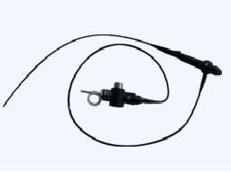 Video Bronchoscope