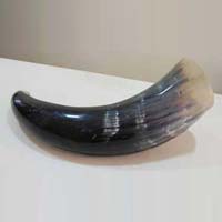 Drinking Horns