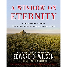 A Window on Eternity Book