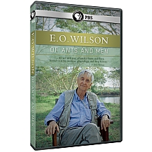 E.O. Wilson Ants Men DVD