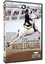 Legendary White Stallions DVD