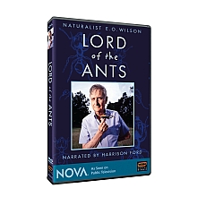 Naturalist E.O. Wilson Lord of the Ants DVD