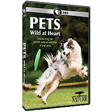 Pets Wild at Heart DVD