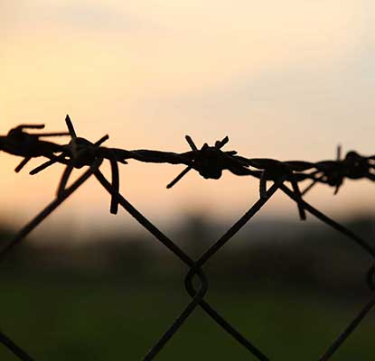 barbed wire