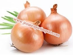 Spanish Onions