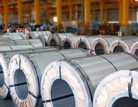 Stainless Steel Coil