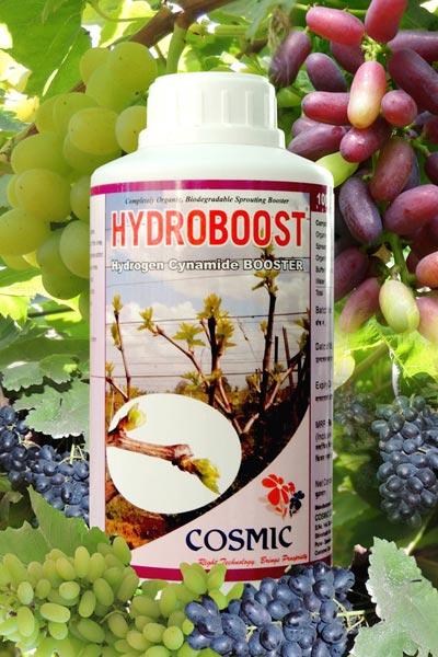 Hydroboost Organic Intermediates