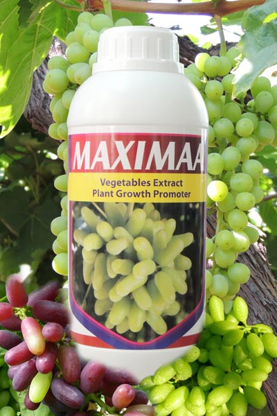Maximaa Organic Plant Growth Promoter