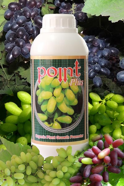 Point Plus Organic Plant Growth Promoter