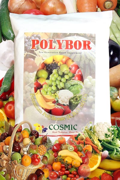 Polybor Organic Intermediates