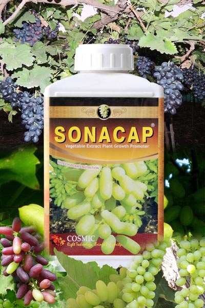 Sonacap Organic Plant Growth Promoter