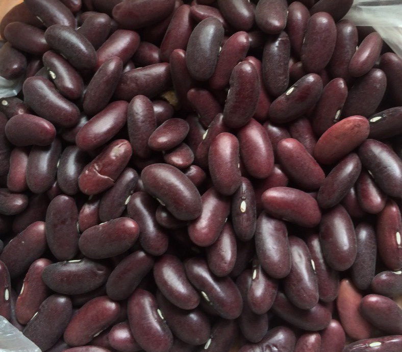 Black Beans / Kidney Beans