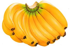 Banana (musa)