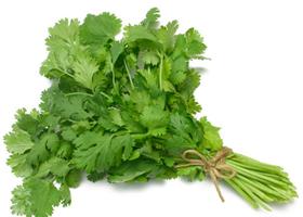 Coriander leaves