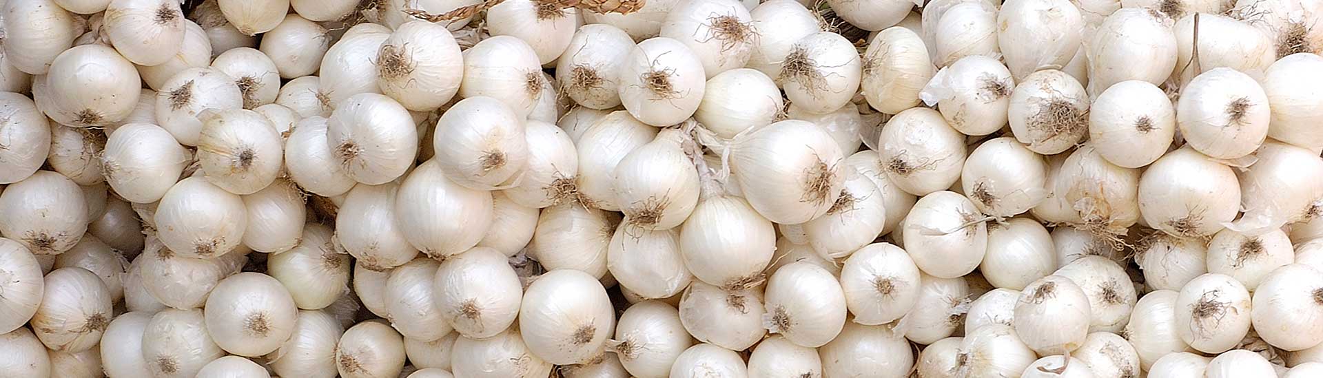 Silverskin Onions